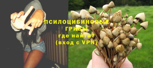 ГАЛЛЮЦИНОГЕННЫЕ ГРИБЫ Балахна