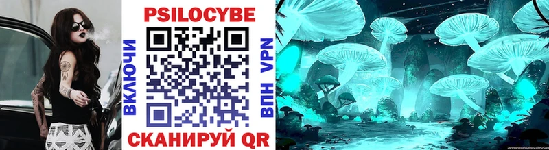 ОМГ ОМГ ССЫЛКА где купить наркотик Петухово Псилоцибиновые грибы Cubensis
